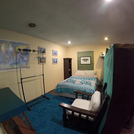 מקסיקו סיטי Neighbor Of Frida Khalo, Vintage Stay In Coyoacan מראה חיצוני תמונה