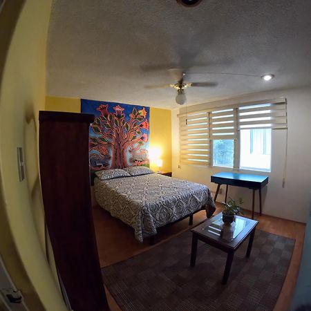 מקסיקו סיטי Neighbor Of Frida Khalo, Vintage Stay In Coyoacan מראה חיצוני תמונה