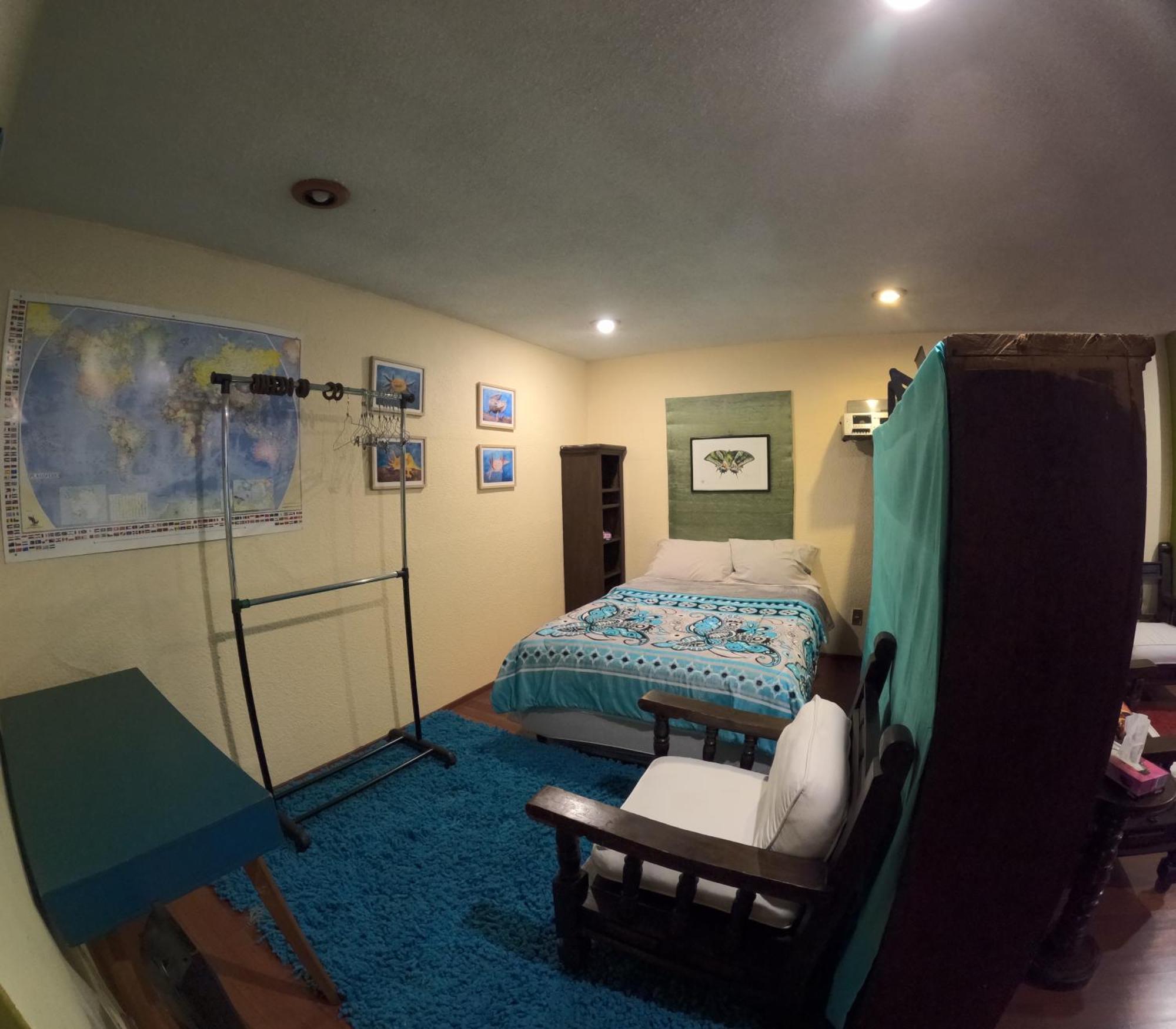 מקסיקו סיטי Neighbor Of Frida Khalo, Vintage Stay In Coyoacan מראה חיצוני תמונה