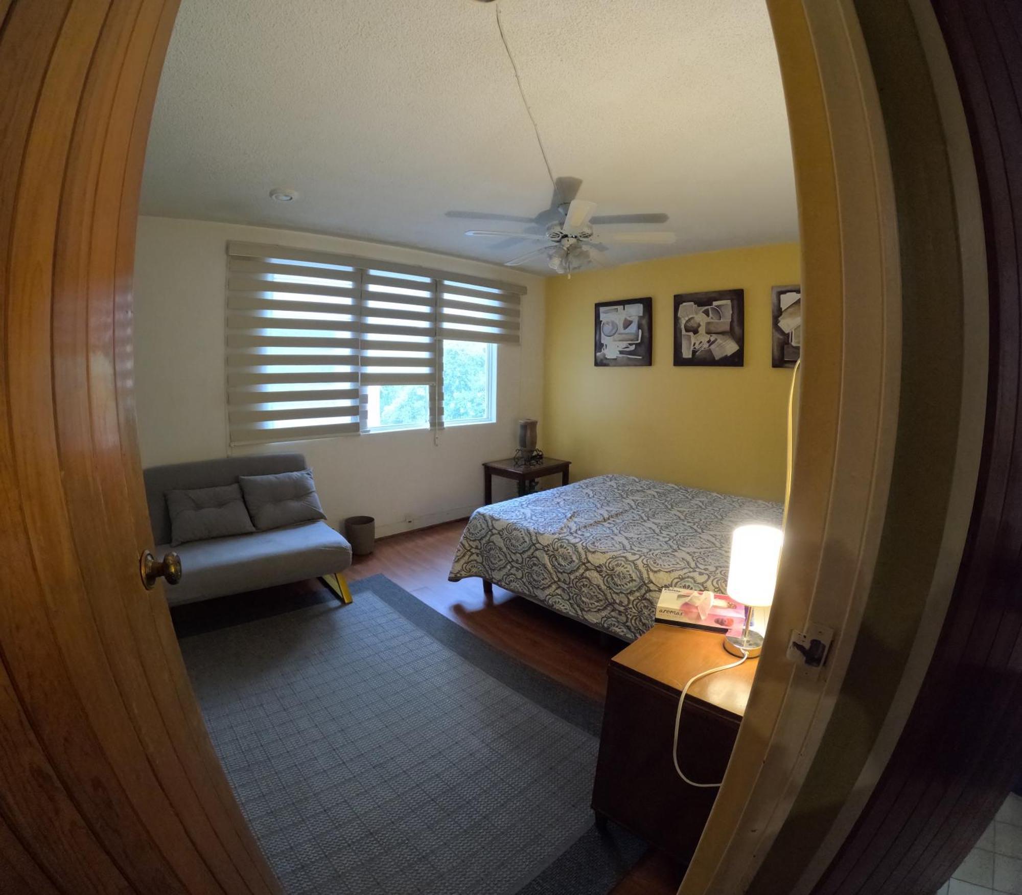 מקסיקו סיטי Neighbor Of Frida Khalo, Vintage Stay In Coyoacan מראה חיצוני תמונה