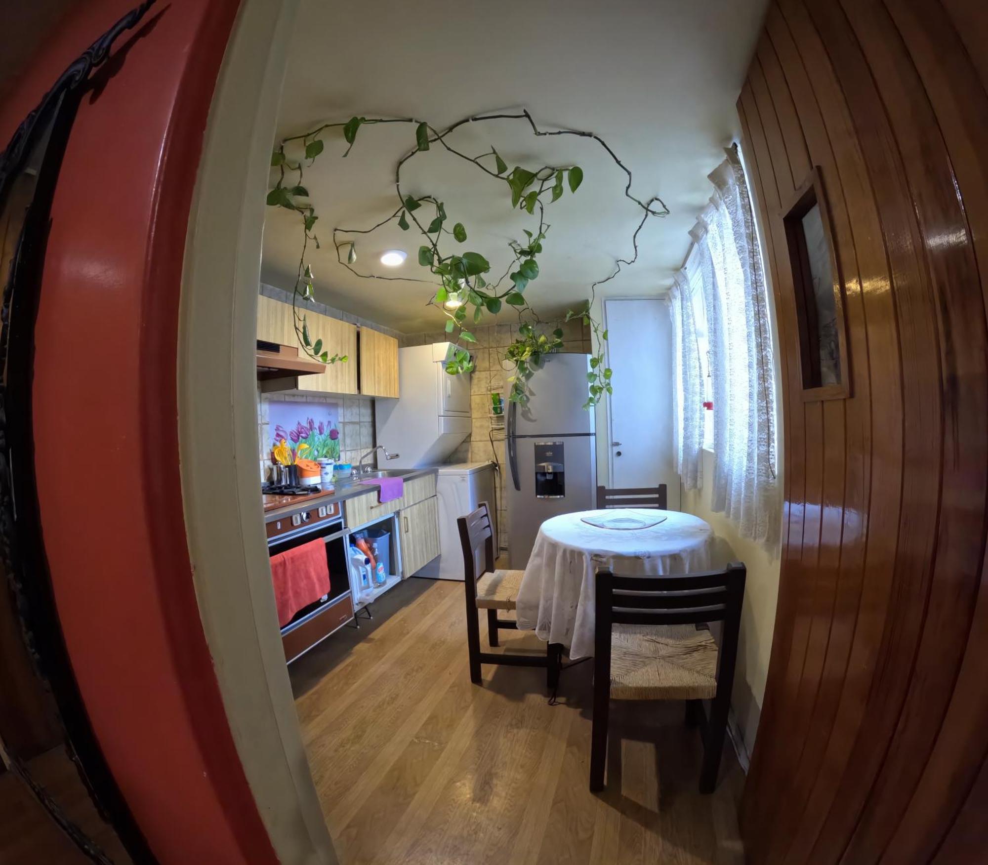מקסיקו סיטי Neighbor Of Frida Khalo, Vintage Stay In Coyoacan מראה חיצוני תמונה