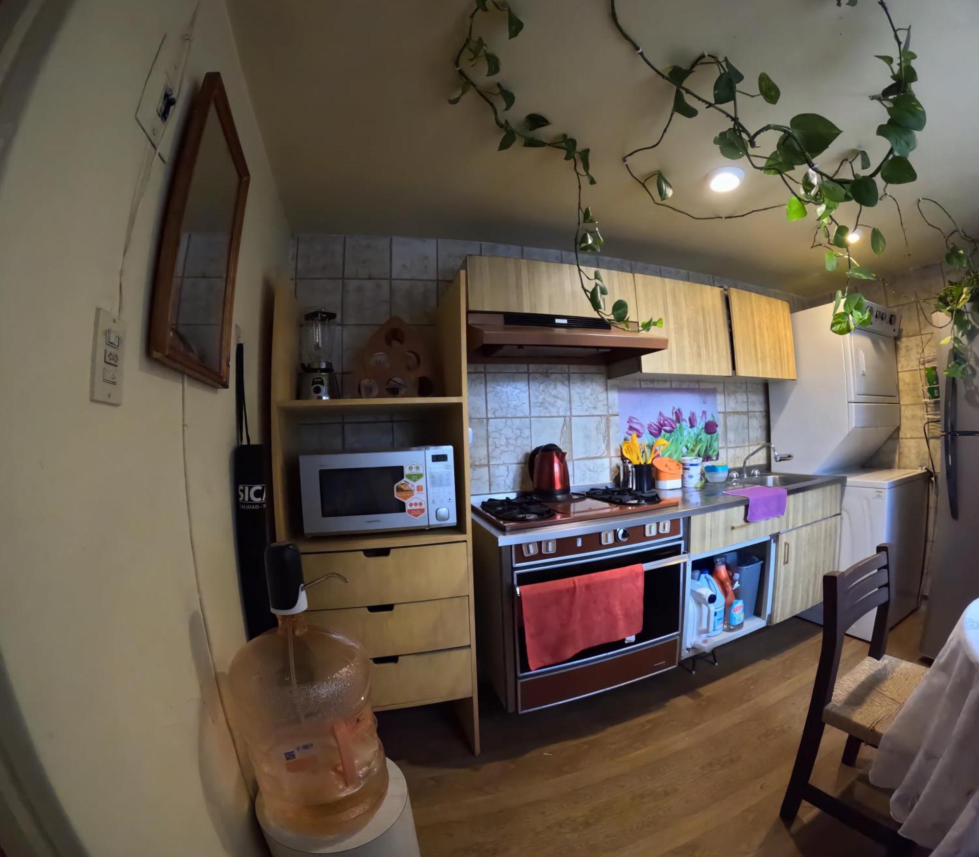 מקסיקו סיטי Neighbor Of Frida Khalo, Vintage Stay In Coyoacan מראה חיצוני תמונה