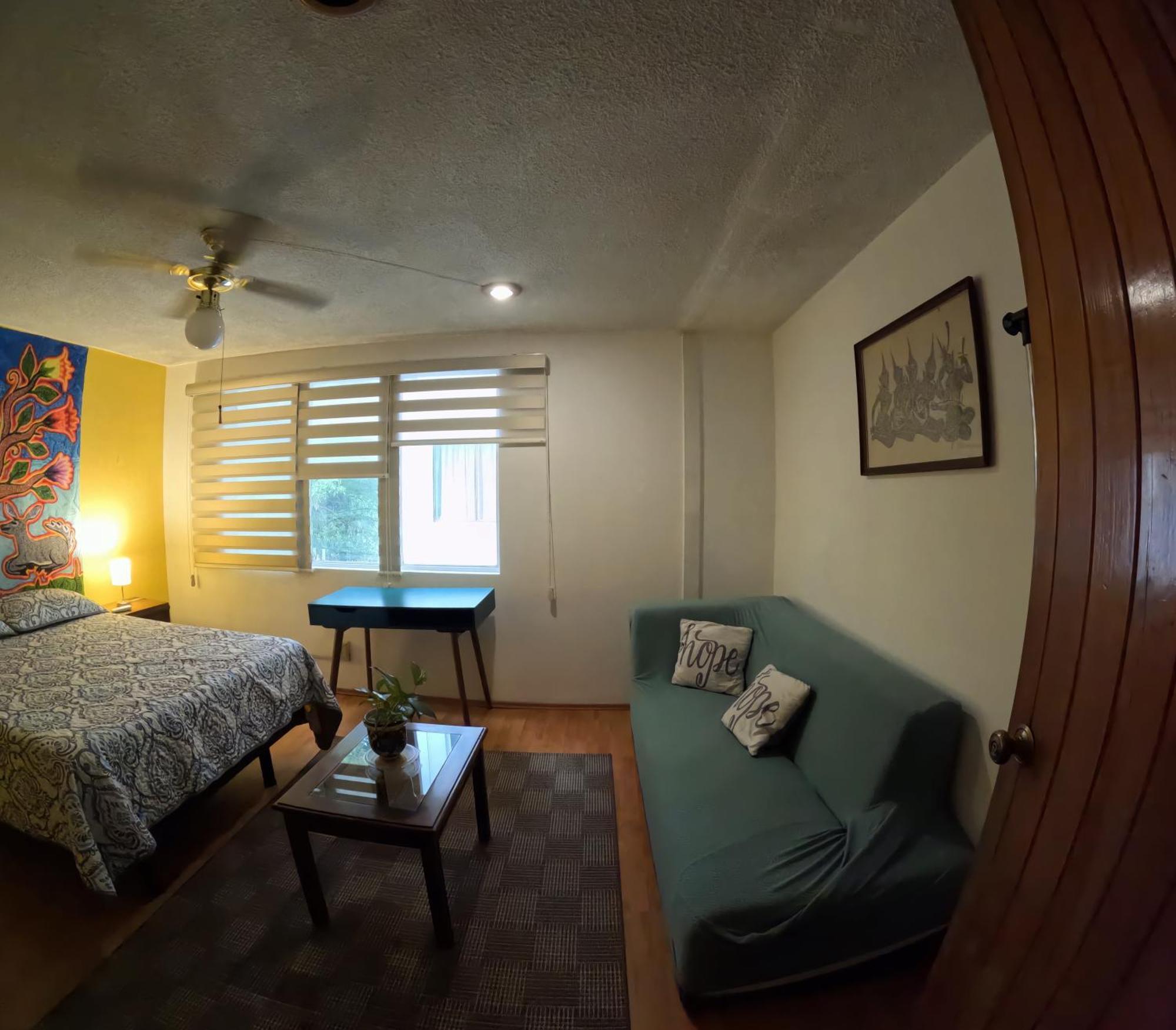 מקסיקו סיטי Neighbor Of Frida Khalo, Vintage Stay In Coyoacan מראה חיצוני תמונה