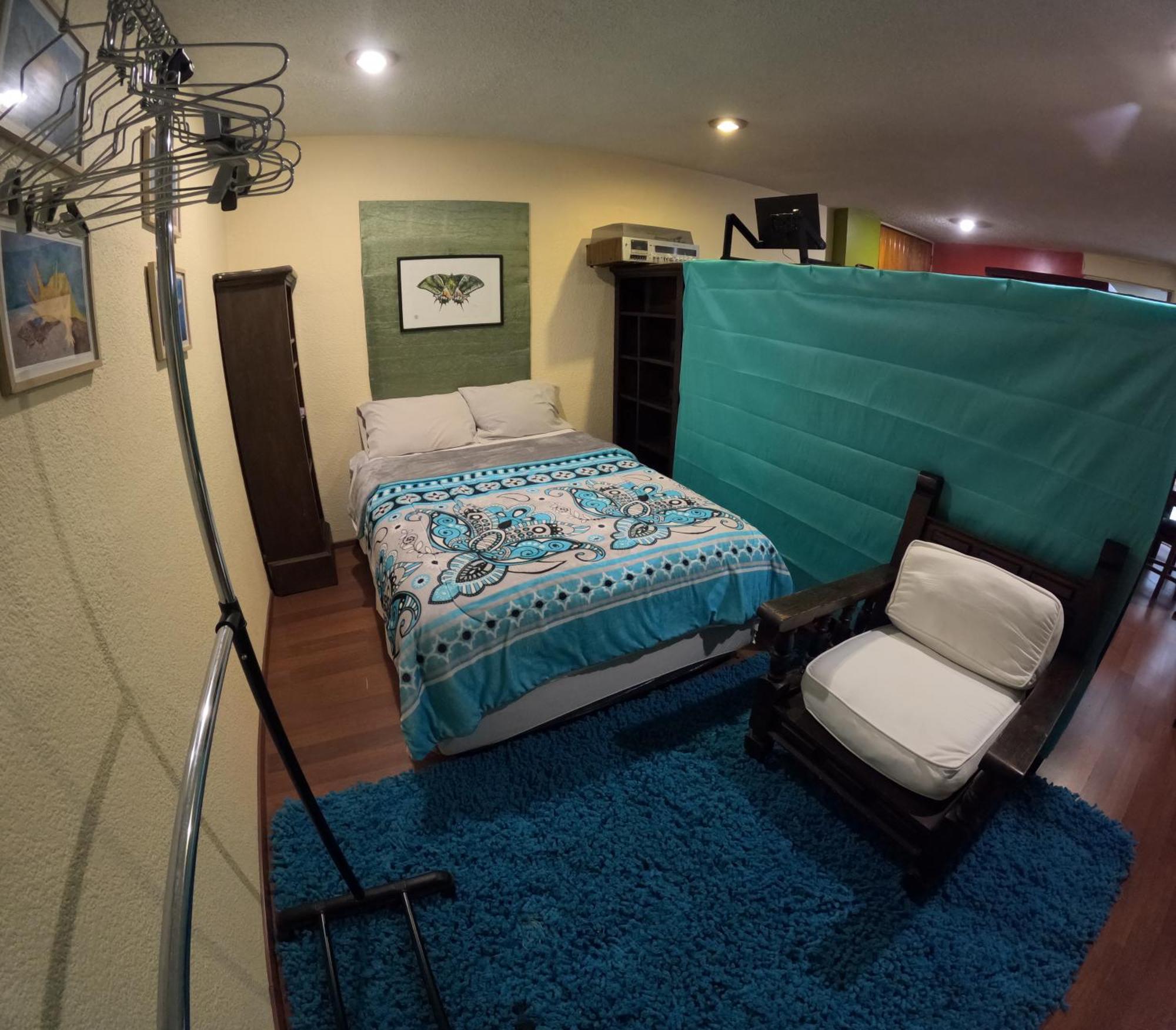 מקסיקו סיטי Neighbor Of Frida Khalo, Vintage Stay In Coyoacan מראה חיצוני תמונה