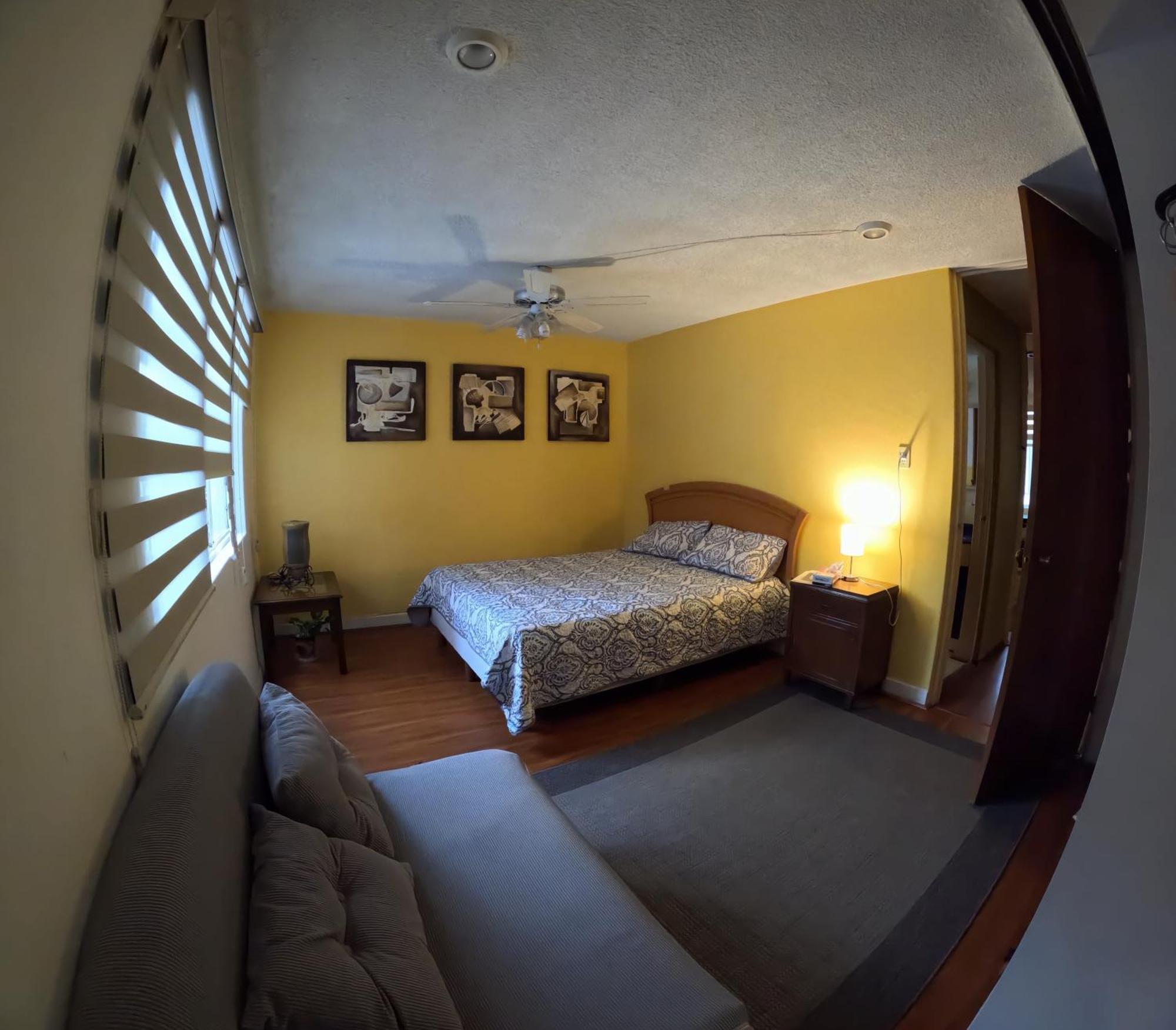 מקסיקו סיטי Neighbor Of Frida Khalo, Vintage Stay In Coyoacan מראה חיצוני תמונה