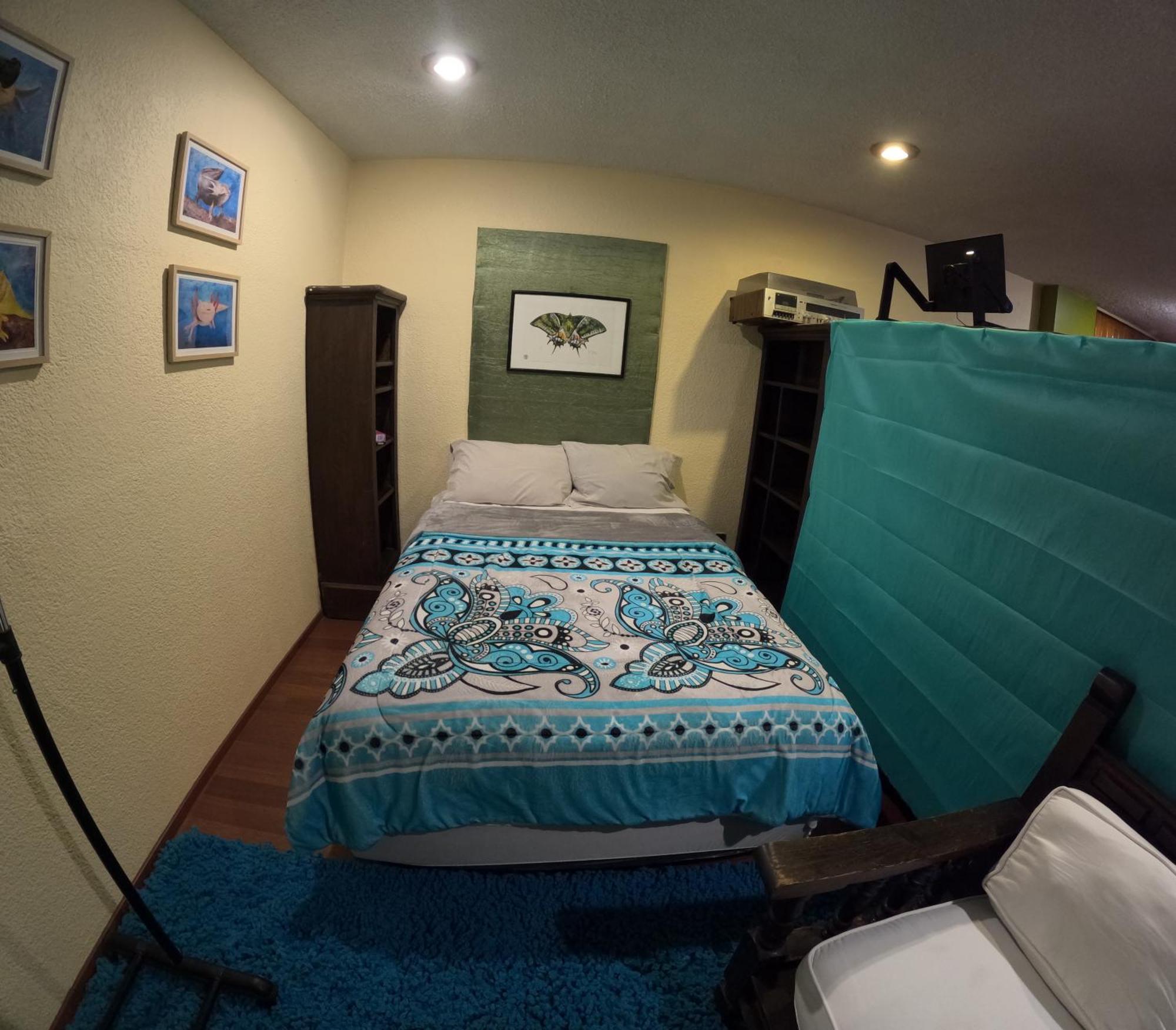 מקסיקו סיטי Neighbor Of Frida Khalo, Vintage Stay In Coyoacan מראה חיצוני תמונה