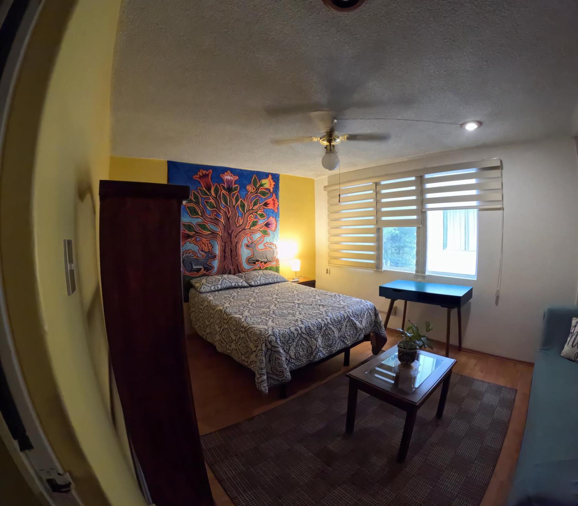 מקסיקו סיטי Neighbor Of Frida Khalo, Vintage Stay In Coyoacan מראה חיצוני תמונה